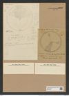 Aulacodiscus lollittianus var. nova-zelandicus Gr. et St. (de-Toni-Nr.: Genus 182, Species 4563) Zeichnungen Sammlung Grunow Nr. 8186 (NHMW-BOT-W0377563)